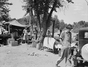 Washington, Yakima Valley. Camp of migratory families in "Ramblers Park.".