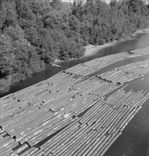 Log rafts on the Williamette River between Salem and Independence, Oregon.