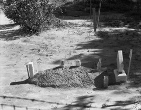 Sharecropper's grave. Hale County, Alabama. [Empty jars and Coke bottle].