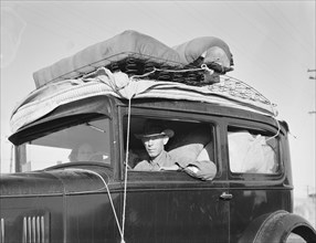 Migratory cotton picker from Kansas on highway near Merced, California.