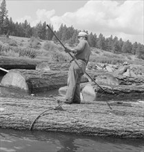 Pond monkey steers log raft in mill pond. Keno, Klamath County, Oregon.