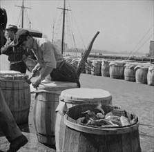 New York, New York. Packing fish in barrels at the Fulton fish market.