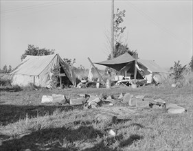Bean pickers' camp. Oregon, Marion county, near West Stayton, Oregon.