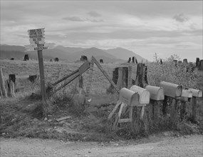 Crossroads off the highway in cut-over area. Boundary County, Idaho.