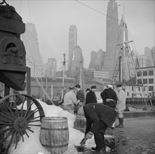 New York, New York. Icing barrels of fish at the Fulton fish market.
