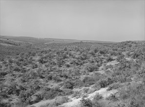 Landscape showing raw land. Nyssa Heights, Malheur County, Oregon.