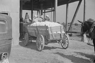 At the cotton gin. Cotton gin and wagons. Hale County, Alabama].