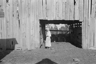 Dora Mae Tengle, sharecropper's daughter, Hale County, Alabama.