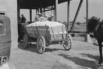 At the cotton gin. Cotton gin and wagons. Hale County, Alabama.