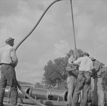 Daytona Beach, Florida. Negro laborers laying sewer pipeline.