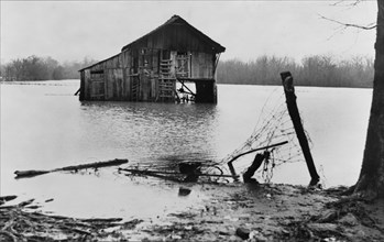 Farmyard covered with flood waters near Ridgeley, Tennessee.