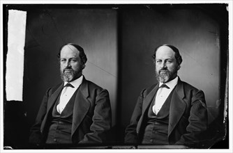 Lowe, Hon. David Perly of Kansas, between 1860 and 1870.