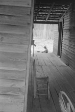Dog run of Floyd Burroughs' home. Hale County, Alabama.