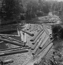Logs at sawmill on Marys River near Corvallis, Oregon.