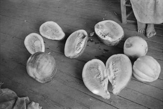 Melons on Frank Tengle's porch. Hale County, Alabama.