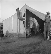 In a carrot pullers' camp near Holtville, California.