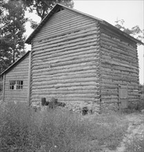 Tobacco barn and shed. Person County, North Carolina.