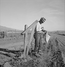 Farmer getting the morning mail. Gem County, Idaho.