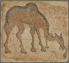 Mosaic Fragment with Grazing Camel, 5th century.