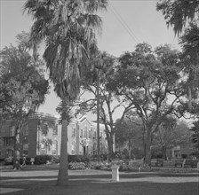 Daytona Beach, Florida. Bethune-Cookman College.