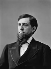 Sen. Eugene Hale, Maine, between 1870 and 1880.