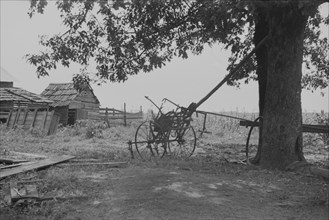 A sharecropper's yard, Hale County, Alabama.