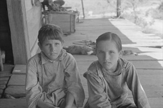 Tengle boys, Hale County, Alabama.