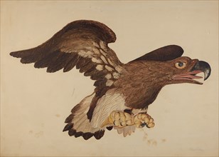 Carved Wooden Eagle, c. 1939.