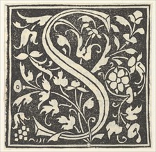 Initial letter S, ca. 1495.