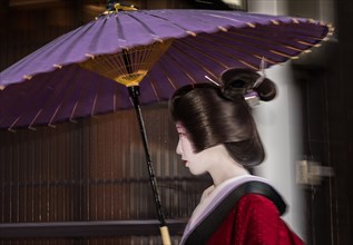 Geisha in the Rain (B).