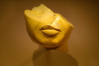 Egyptian Artifact Head.