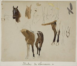 Studies of Horses, n.d.