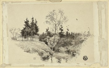 Brook in Forest, n.d.