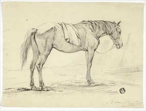 Standing Horse, n.d.