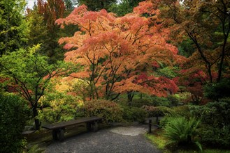 Japanese Gardens.