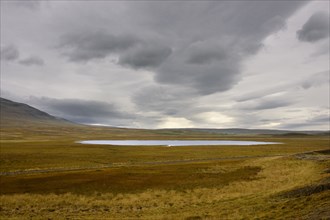 Pond, Iceland.