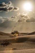 Dubai Desert.