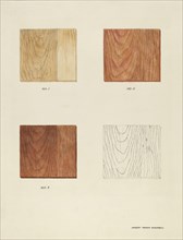 Wood Grain (Demo.), 1935/1942. Creator: Harry Mann Waddell.