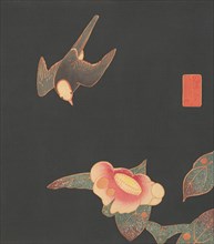 Swallow and Camellia, ca. 1900. Creator: Ito Jakuchu.