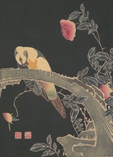 Parrot on the Branch of a Flowering Rose Bush, ca. 1900. Creator: Ito Jakuchu.