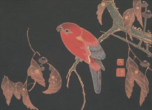 Red Parrot on the Branch of a Tree, ca. 1900. Creator: Ito Jakuchu.
