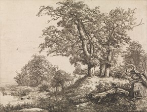 The Three Oaks, mid-17th century. Creator: Jacob van Ruisdael.