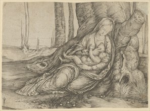 The Madonna nursing the Christ Child at the foot of a tree, ca. 1501-3. Creator: Jacopo de' Barbari.