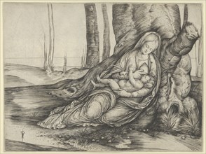 The Madonna nursing the Christ Child at the foot of a tree, ca. 1502-3. Creator: Jacopo de' Barbari.