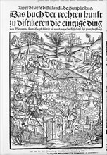 Medicinarius. Das buch der Gesundheit. Liber de arte distillandi Simplicia et Composita, 1505. Creator: Johann Gruninger.