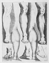 Five Legs and Three Feet, 17th century., 17th century. Creator: Luca Ciamberlano.
