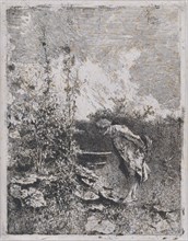 The botanist: a man in a garden examining its contents, 1860-70. Creator: Mariano Jose Maria Bernardo Fortuny y Carbo.