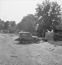 [Hop pickers' camp?], 1939. Creator: Dorothea Lange.