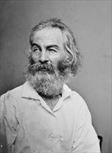 Walt Whitman, 1862. Creator: Brady's National Photographic Portrait Galleries.