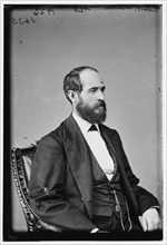 Richard P. Bland, between 1870 and 1880. Creator: Unknown.